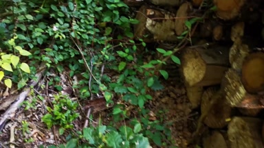 Nessel Bestrafungstag - Arsch, Titten, Scheide - Directors Cut mit Befehlen